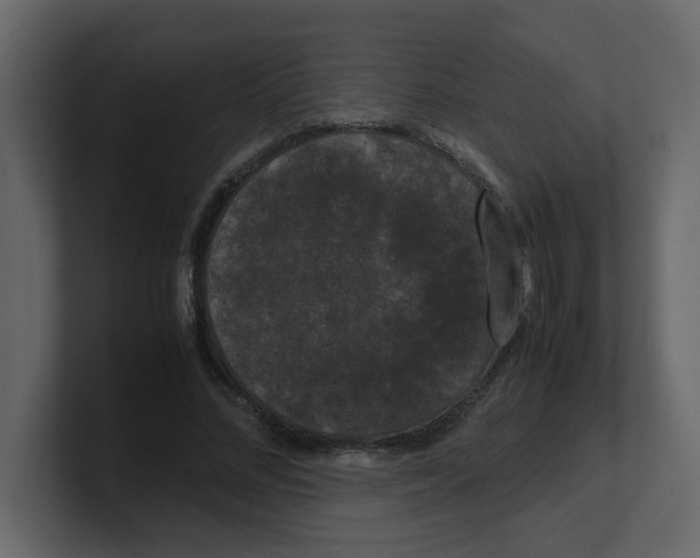 X0000100490684200807111123