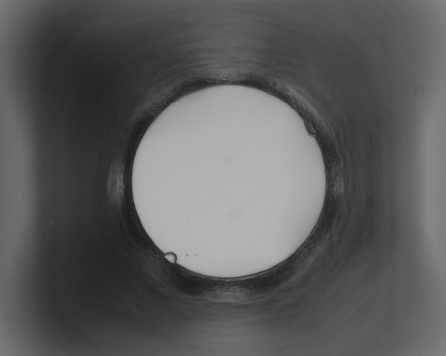 X0000100490685200807111123