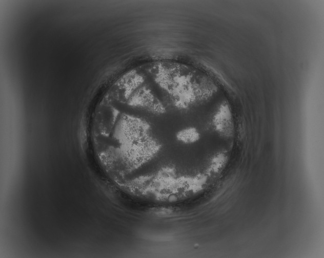 X0000100490687200807111123