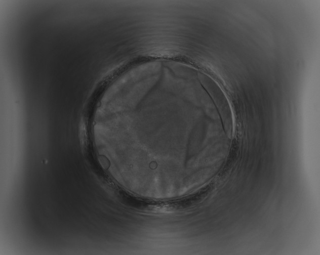 X0000100490688200807111123