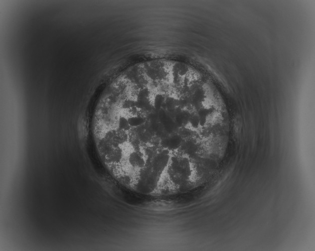 X0000100490691200807111123