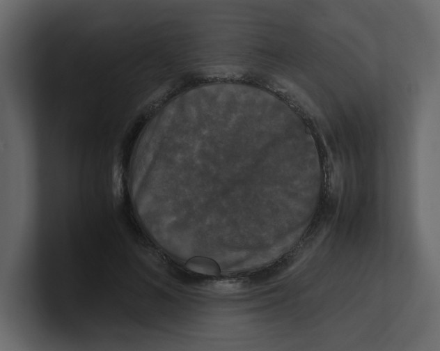 X0000100490692200807111123