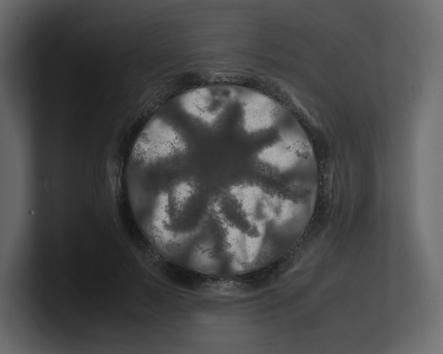 X0000100490695200807111123