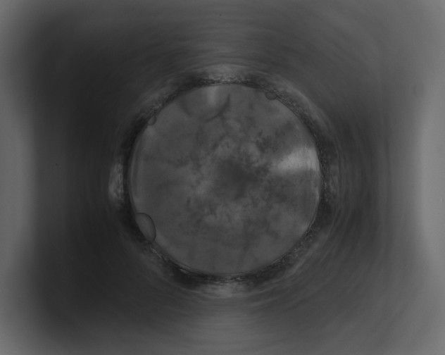 X0000100490696200807111123