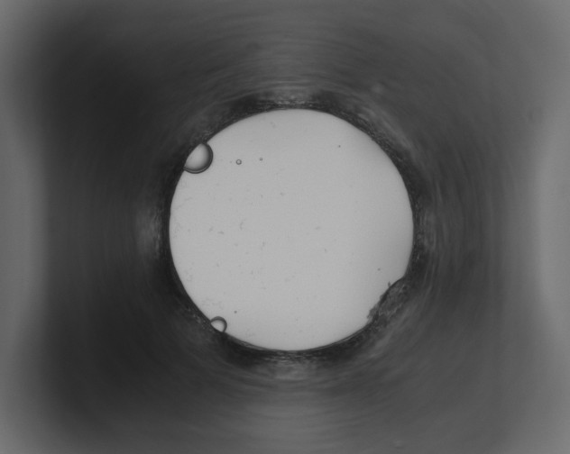 X0000100490697200807111123