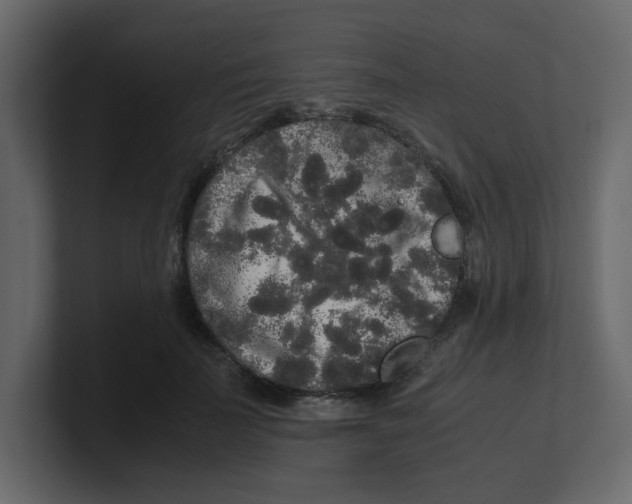 X0000100490699200807111123