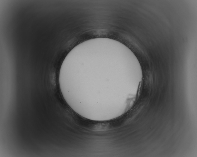 X0000100490700200807111123