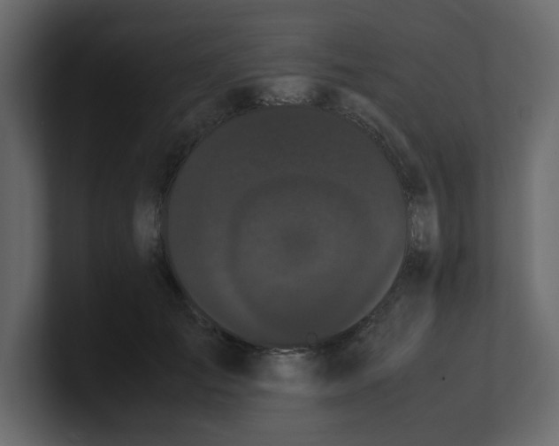 X0000100490701200807111123