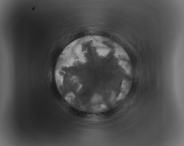 X0000100490703200807111123