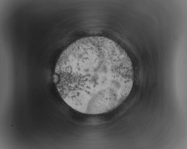 X0000100490704200807111123