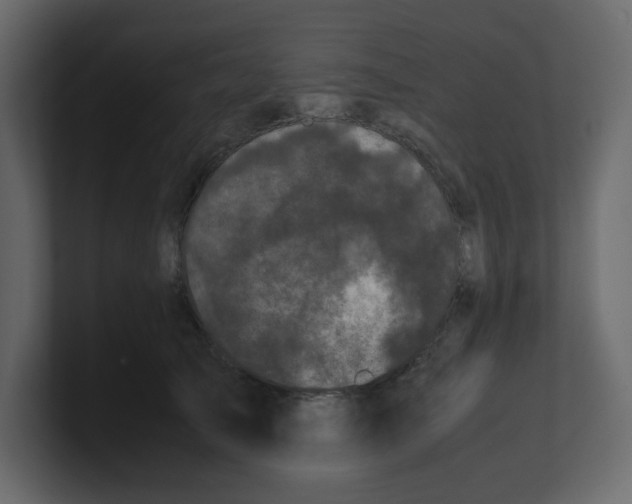 X0000100490705200807111123