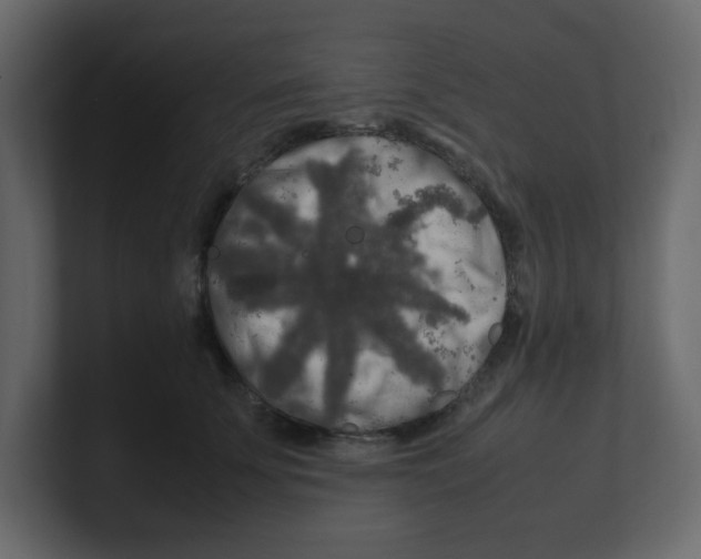 X0000100490707200807111123