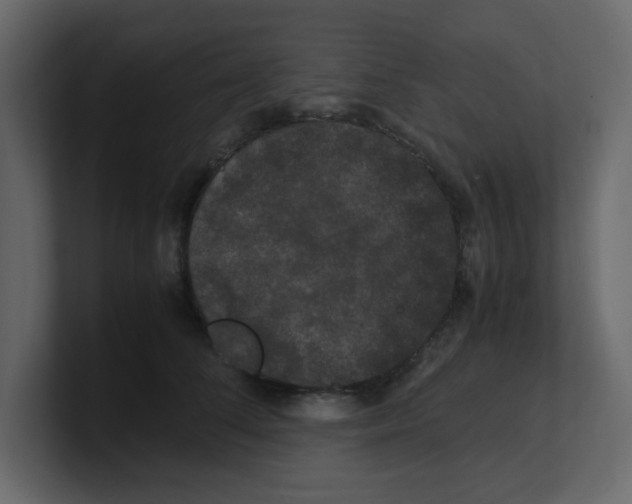 X0000100490708200807111123