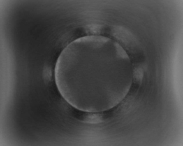 X0000100490709200807111123
