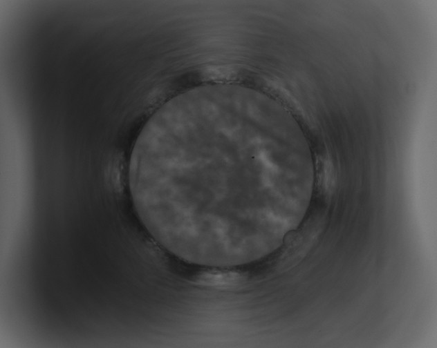 X0000100490712200807111123