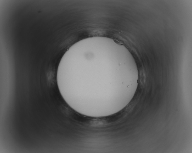 X0000100490714200807111123