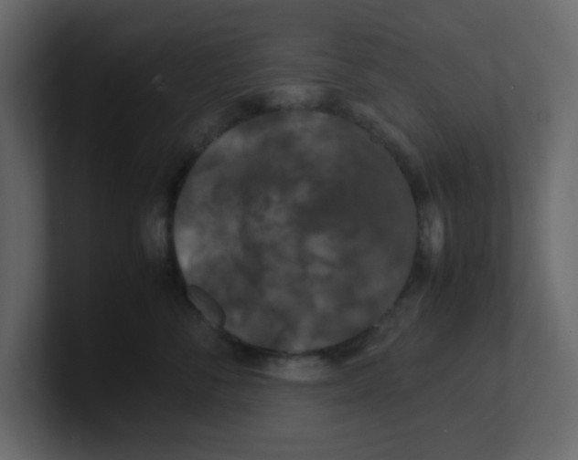 X0000100490716200807111123