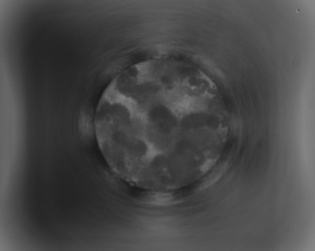 X0000100490719200807111122