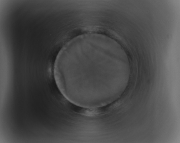 X0000100490720200807111122