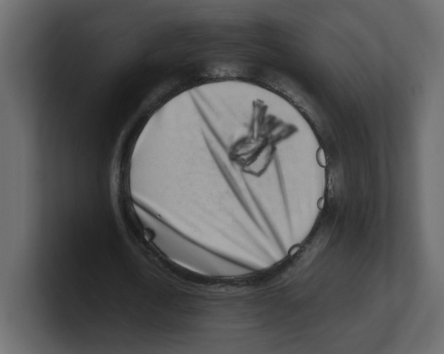 X0000100490722200807111122