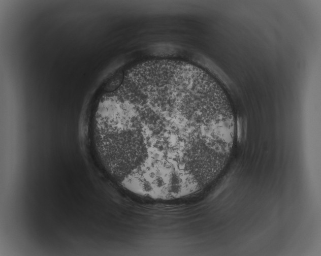 X0000100490723200807111122
