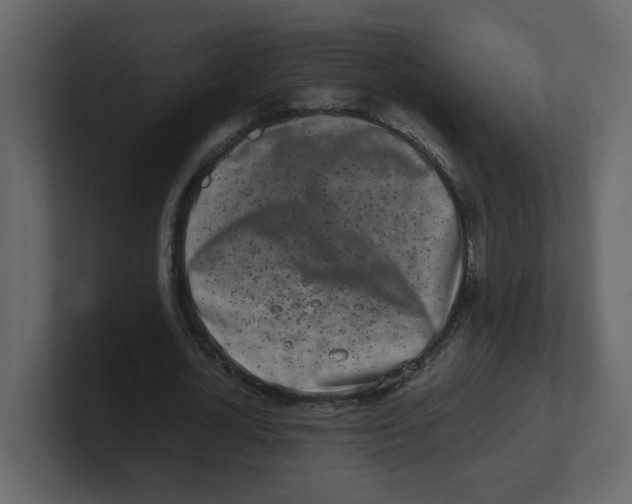 X0000100490724200807111122