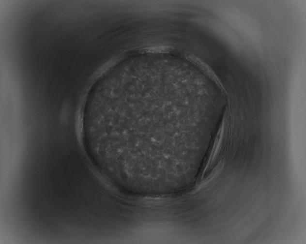 X0000100490725200807111122