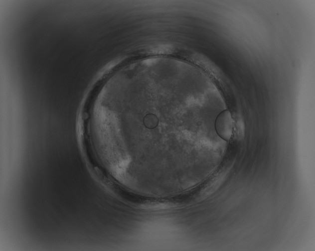 X0000100490726200807111122