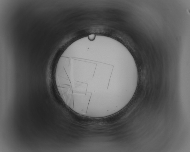 X0000100490727200807111122