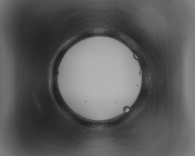 X0000100490728200807111122