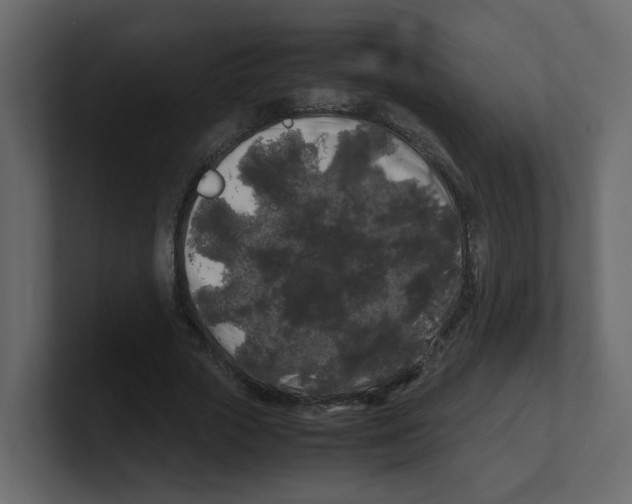 X0000100490729200807111122