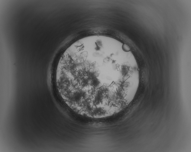 X0000100490730200807111122