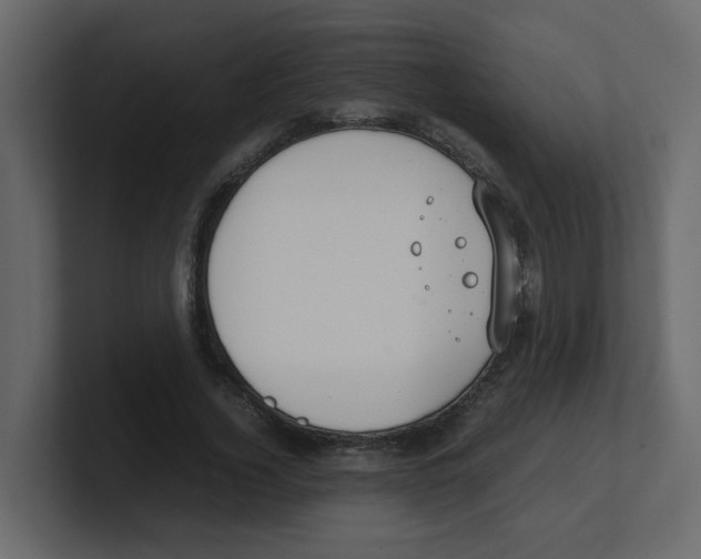 X0000100490732200807111122