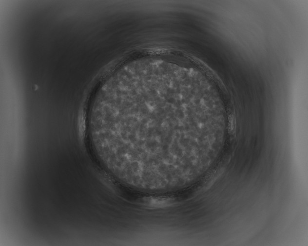 X0000100490733200807111122