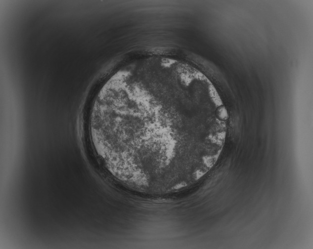 X0000100490734200807111122