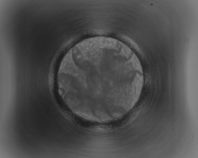 X0000100490736200807111122