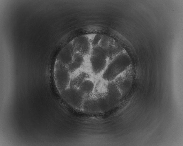 X0000100490737200807111122