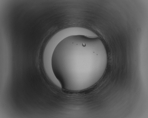 X0000100490738200807111122