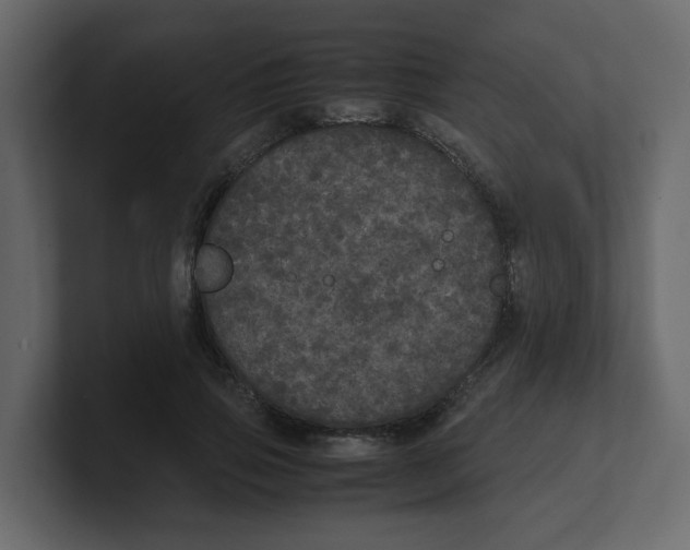 X0000100490741200807111122