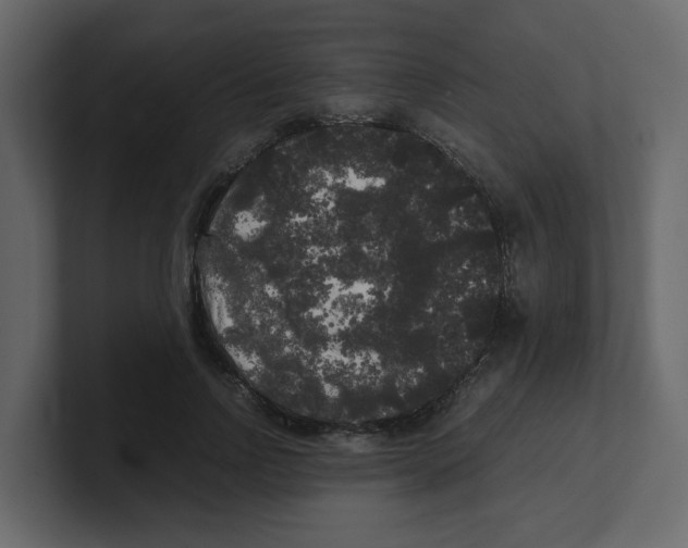 X0000100490742200807111122
