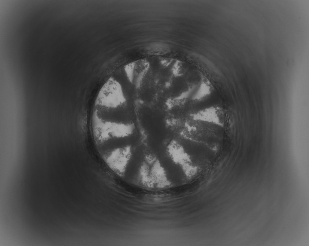 X0000100490745200807111122