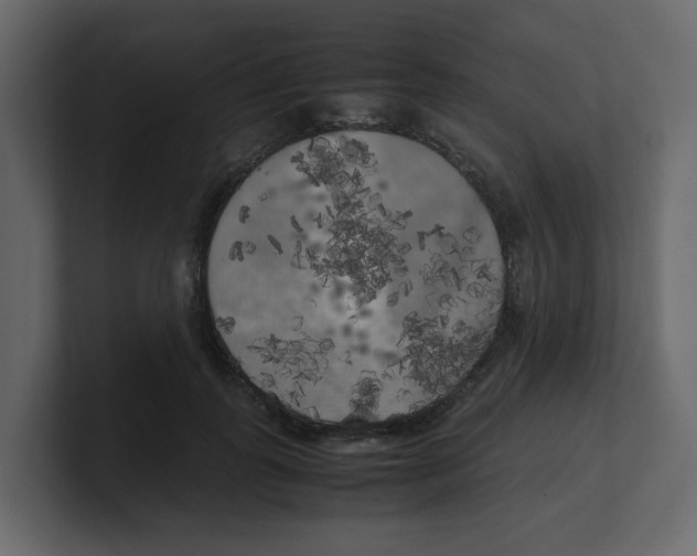 X0000100490747200807111122