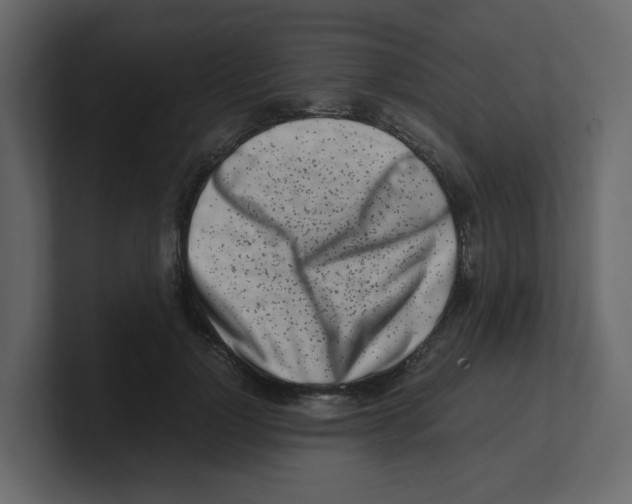 X0000100490748200807111122