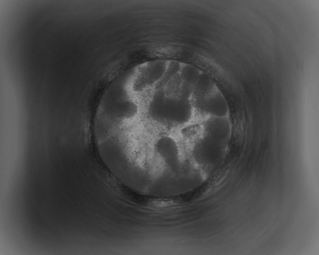 X0000100490749200807111122