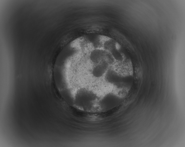X0000100490753200807111122