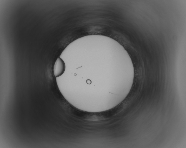 X0000100490755200807111122