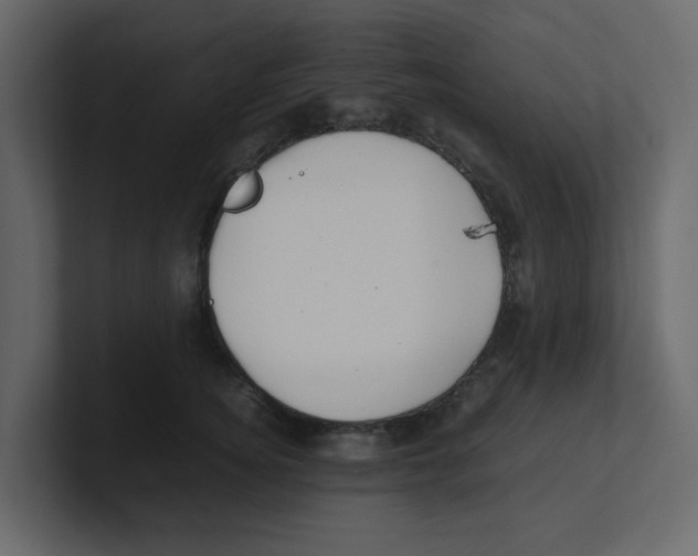 X0000100490756200807111122