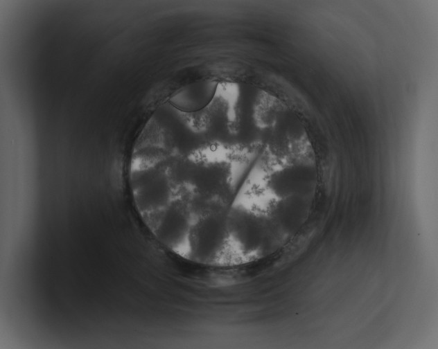 X0000100490757200807111122