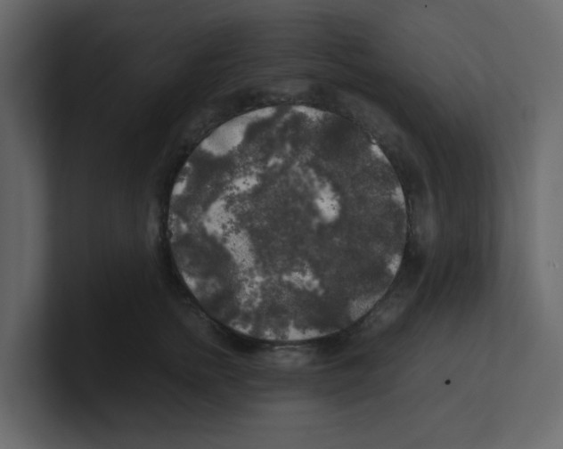 X0000100490758200807111122