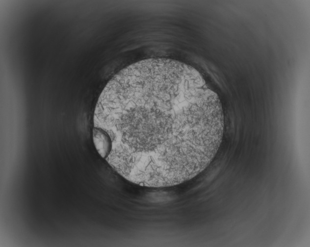 X0000100490759200807111122